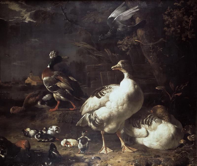 Melchior d Hondecoeter - Geese and Ducks
