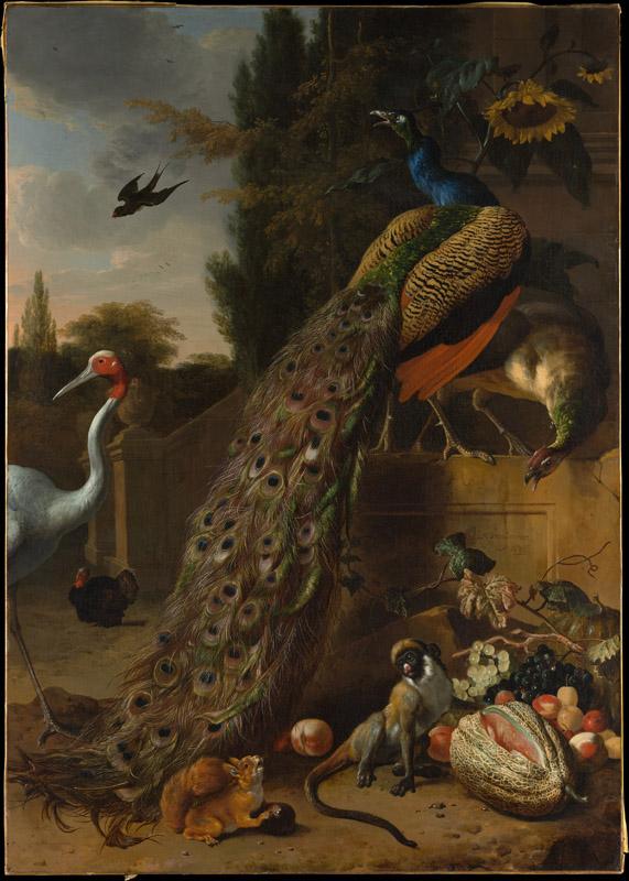 Melchior d Hondecoeter--Peacocks