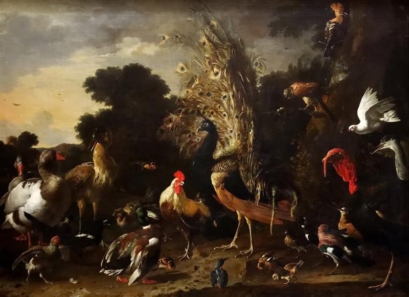 Melchior de Hondecoeter -- The poultry yard with rooster