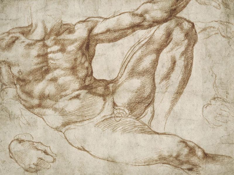 Michelangelo- (104)