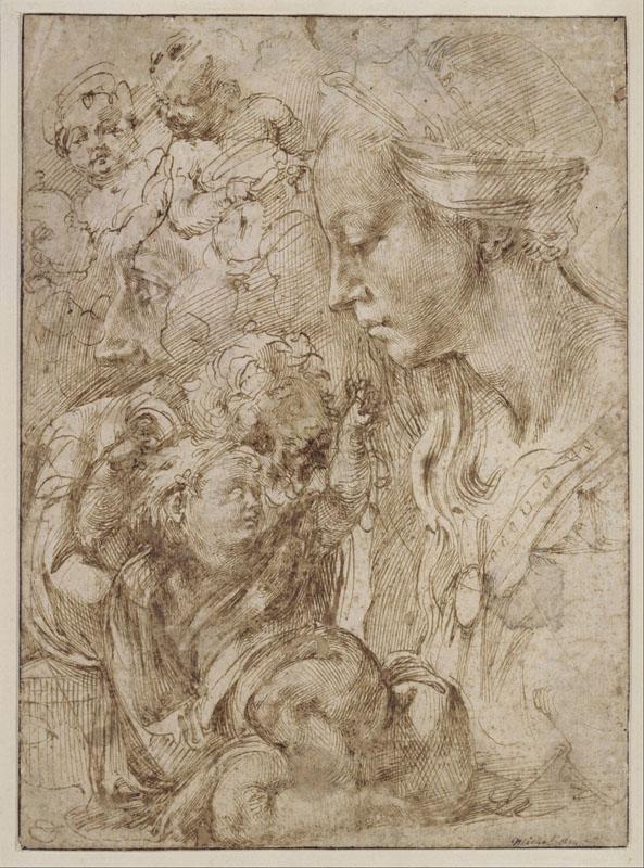 Michelangelo- (16)