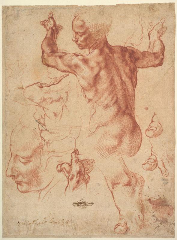 Michelangelo- (17)
