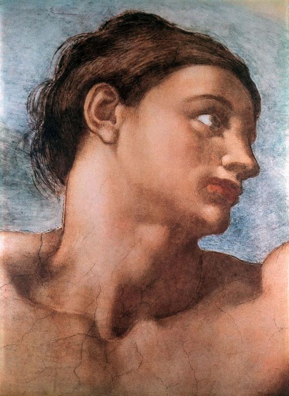 Michelangelo- (62)