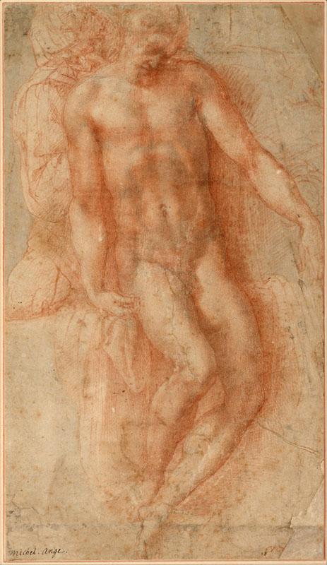 Michelangelo- (8)