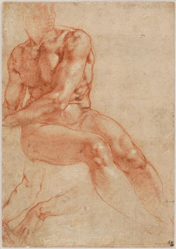 Michelangelo- (9)