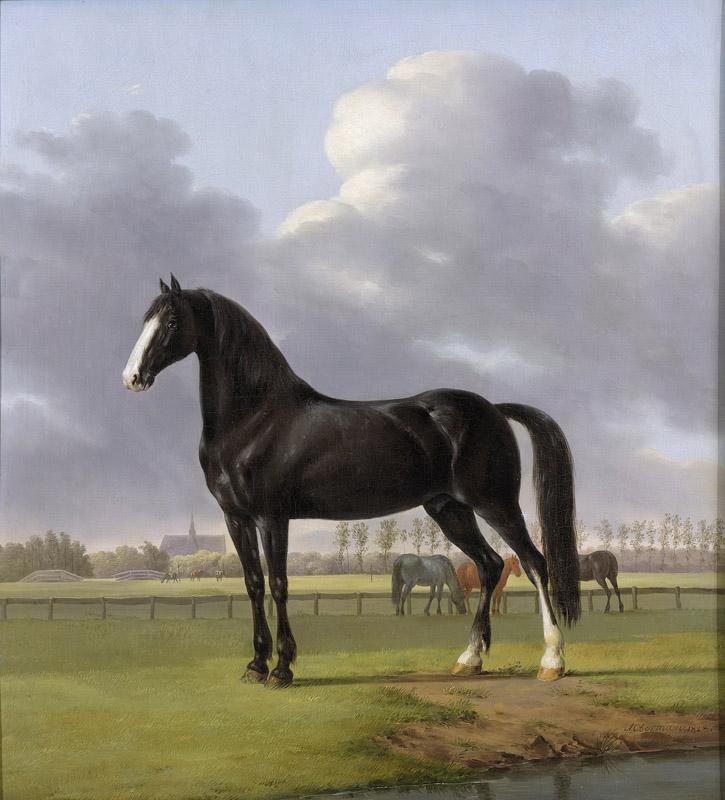 Oberman, Anthony -- De harddraver de Vlugge van Adriaan van der Hoop in de weide, 1828