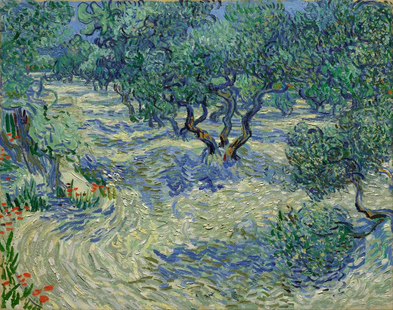 Olive Orchard 1889
