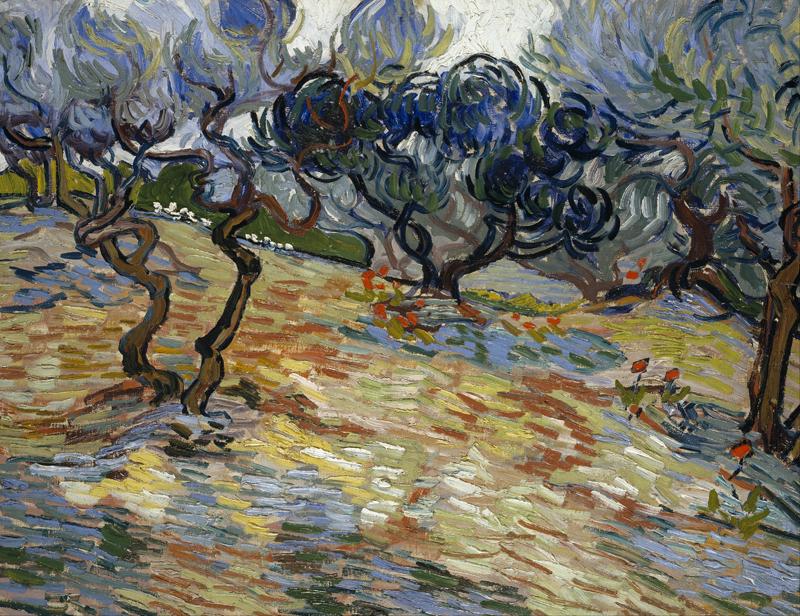 Olive Trees 1889