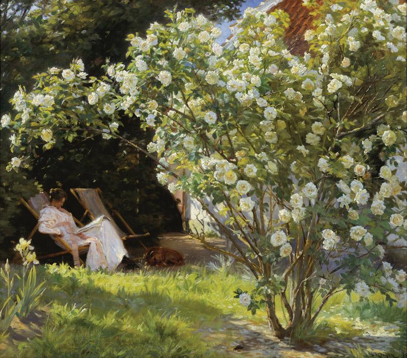 P.S. Kroyer - Roses. Marie Kroyer seated in the deckchair in the garden by Mrs Bendsen house