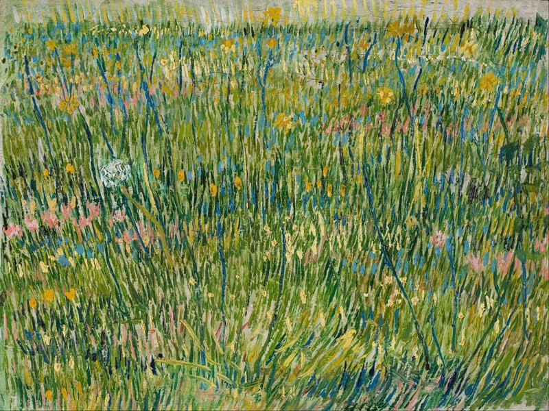 Patch of grass 1887