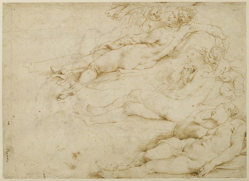 Peter Paul Rubens - Studies of Venus, c.1618-1620