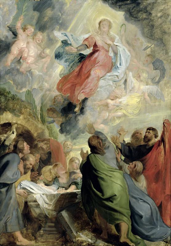 Peter Paul Rubens507