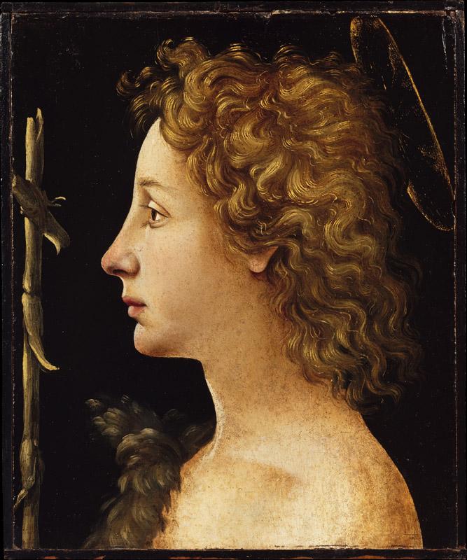 Piero di Cosimo--The Young Saint John the Baptist