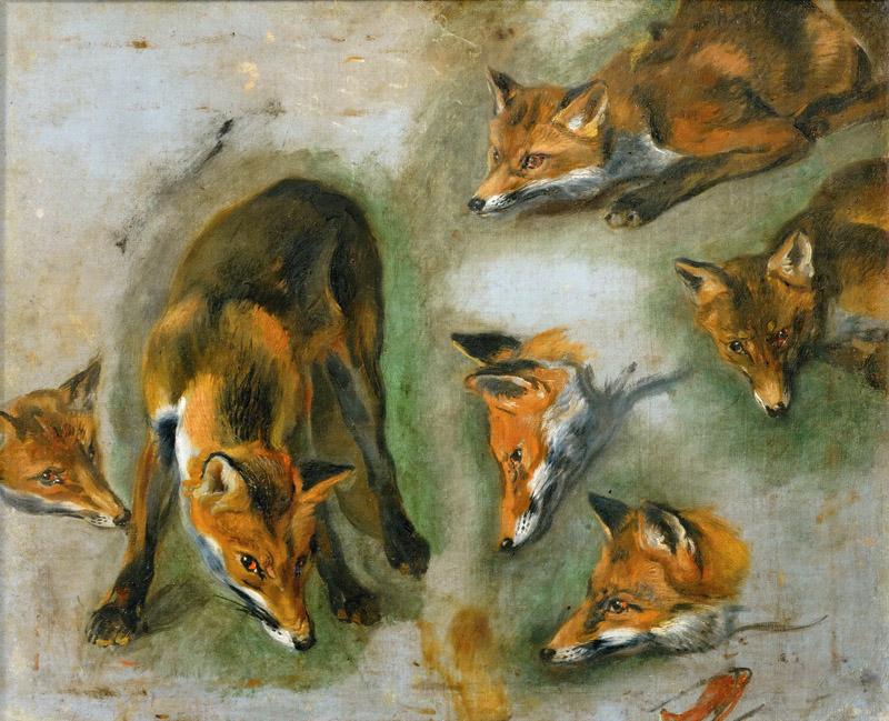 Pieter Boel (1622-1674) -- Views of a Fox