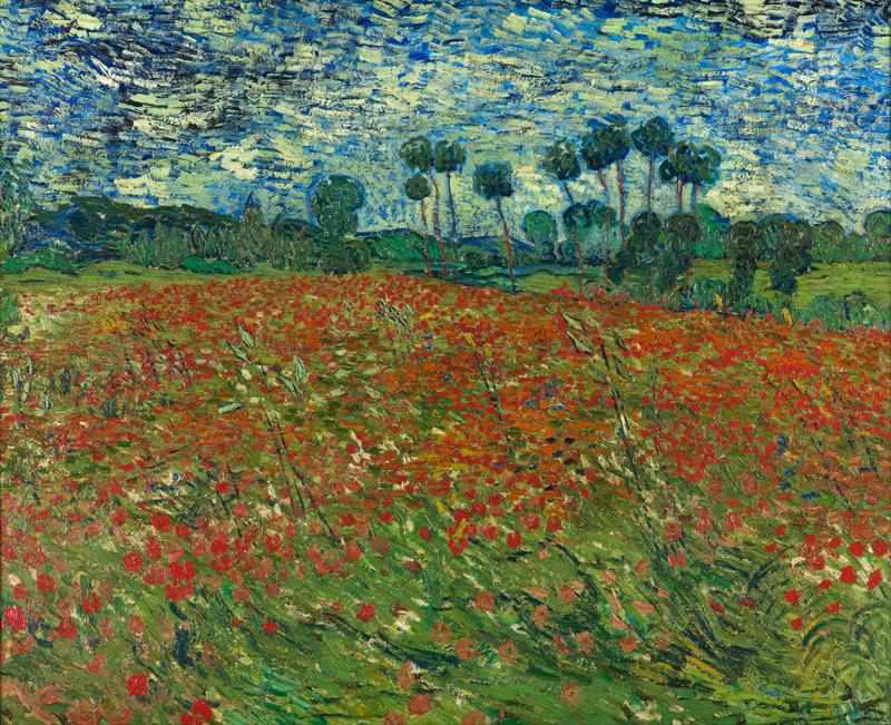 Poppy field June 1890