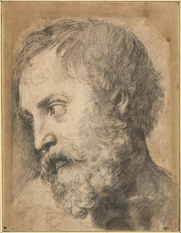 Raphael (14831520)-Head of An Apostle in the Transfiguration, 1