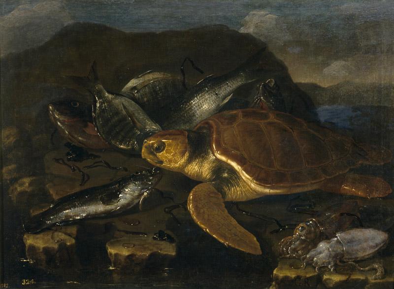 Recco, Giuseppe-Bodegon de peces y tortuga-75 cm x 91 cm