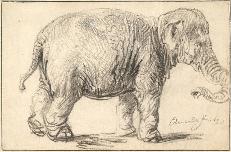 Rembrandt (1606-1669)-An Elephant, 1637