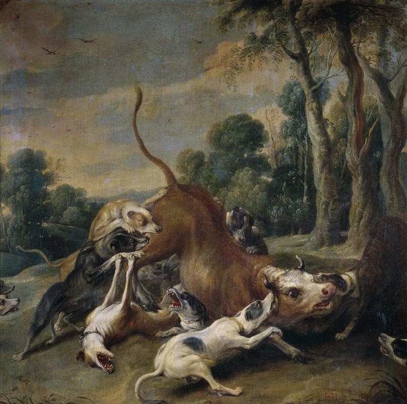 Snyders, Frans-Toro rendido por perros-98 cm x 100 cm