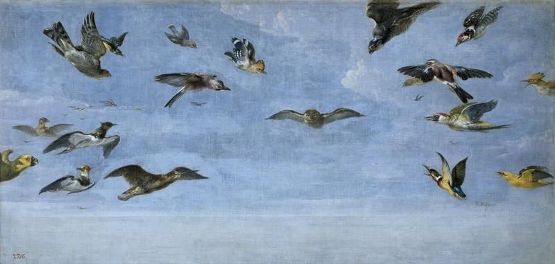 Snyders, Frans-Un mochuelo y multitud de pajaros-91,5 cm x 188 cm