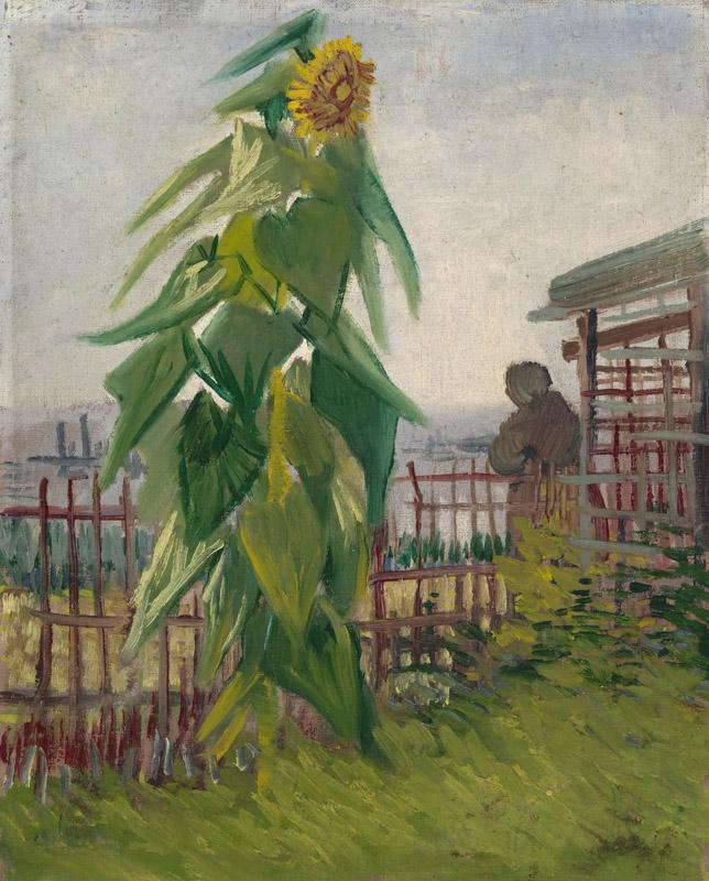 The Garden with Sunflower