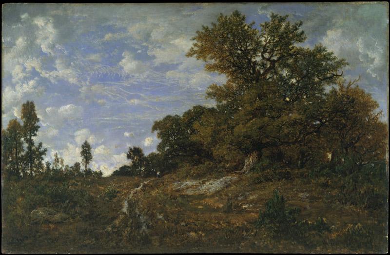 Theodore Rousseau--The Edge of the Woods at Monts-Girard, Fontainebleau Forest