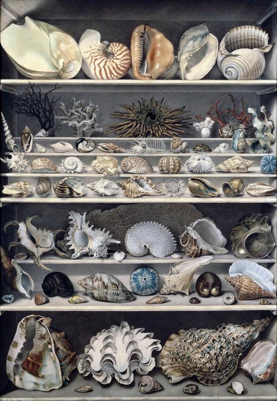 Vicomte de Barde Leroy -- Selection of shells
