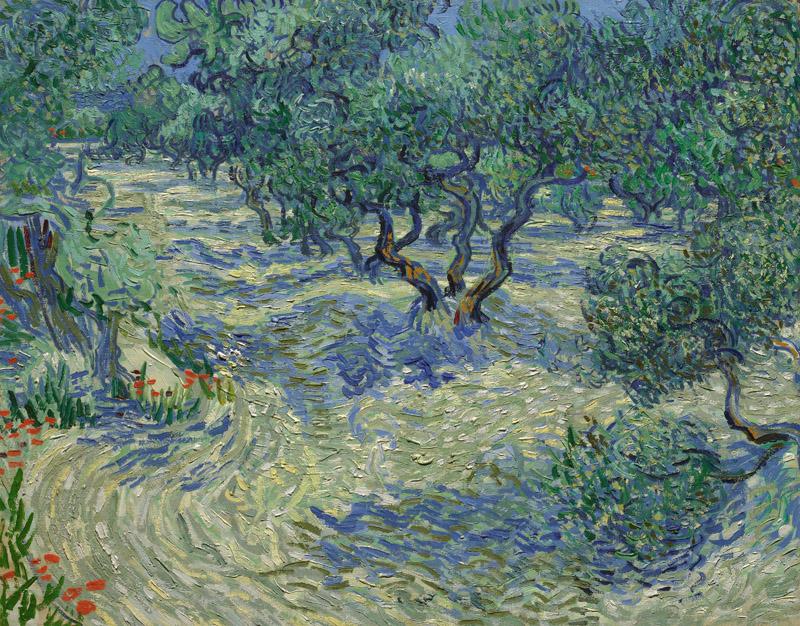 Vincent van Gogh - Olive Orchard, 1889