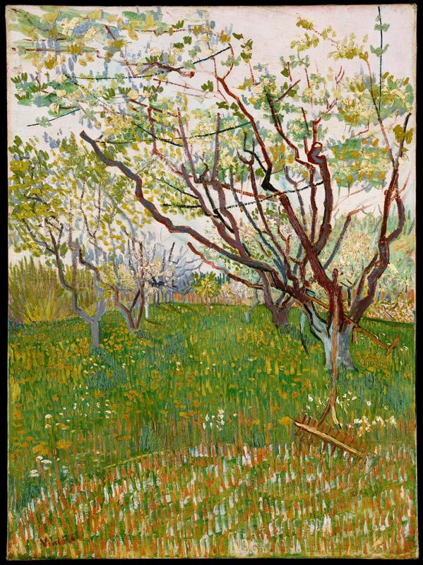 Vincent van Gogh--The Flowering Orchard
