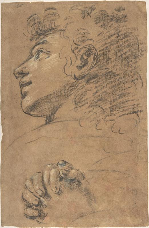 attributed to Giacomo Cavedone--Profile Head of a Youth Looking to Upper Left